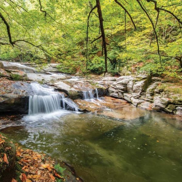 Istanbul: Day Trip to Scenic Sapanca, Masukiye and Kartepe – Recently Added Experiences Kanwal Malik Official a poet, novelist and a writer based in dubai 4