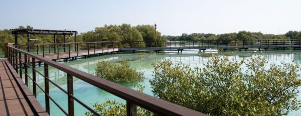 Jubail Mangrove Park – Boardwalk Experience – Recently Added Experiences Kanwal Malik Official a poet, novelist and a writer based in dubai 6