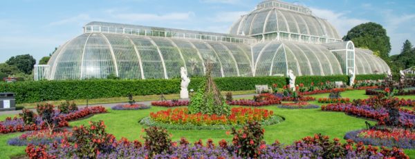 Kew Gardens Entry Ticket – Recently Added Experiences Kanwal Malik Official a poet, novelist and a writer based in dubai 6