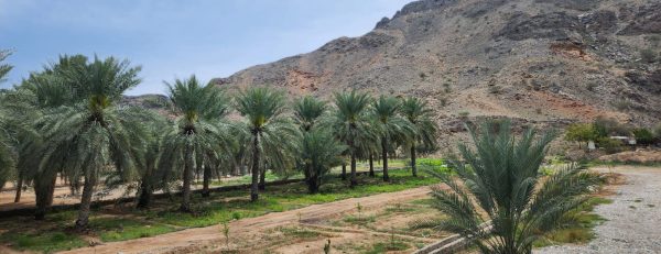 Mazra Yiti Entry Tickets – Sightseeing and Tours Kanwal Malik Official a poet, novelist and a writer based in dubai 6