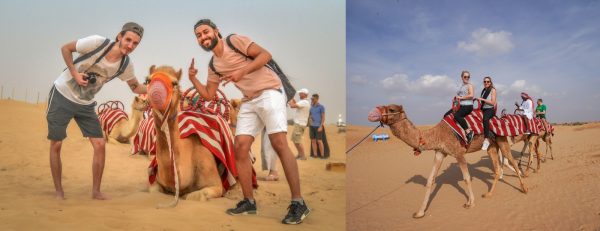 Morning Desert Safari Dubai with Dune Bashing, Sand Boarding & Camel Ride – Desert safaris Kanwal Malik Official a poet, novelist and a writer based in dubai 6