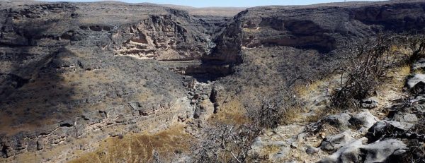 Salalah: Private Full-Day Jebel Safari Tour East – Recently Added Experiences Kanwal Malik Official a poet, novelist and a writer based in dubai 6