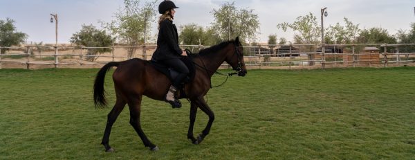Sunset Horse Riding at Al Marmoom Oasis with a 6-Course Bedouin Dinner – Outdoor Attractions Kanwal Malik Official a poet, novelist and a writer based in dubai 6