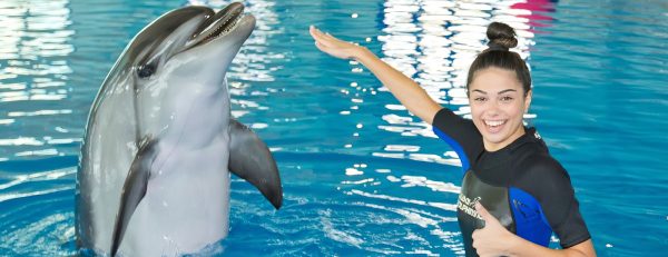 Swimming With Dolphins – Dubai Dolphinarium – Dubai Dolphinarium Kanwal Malik Official a poet, novelist and a writer based in dubai 6